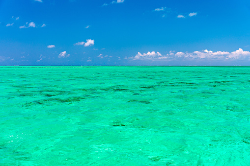 Water surface in vibrant green. View of a crystal clear sea water texture. View natural sea water, green background. Green water reflection. Green ocean wave.