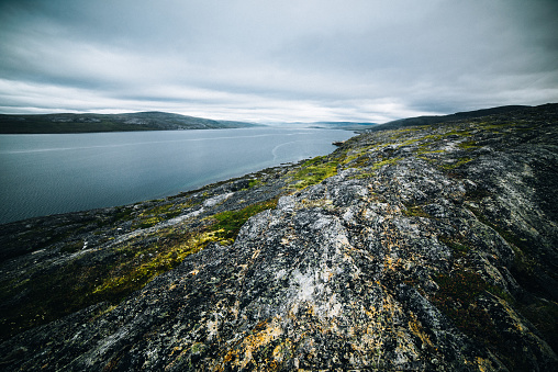 This image captures the serene beauty of Nunavik, Quebec. It showcases a rugged, moss-covered rocky landscape leading to a calm sea. The sparse vegetation hints at the tundra biome. The undulating hills meet the water’s edge, while a cloudy sky forms the backdrop, encapsulating the stark yet captivating Arctic environment.