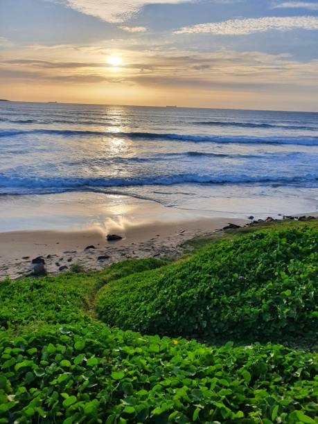 istock A Verdant Path to the Beach 2151132153
