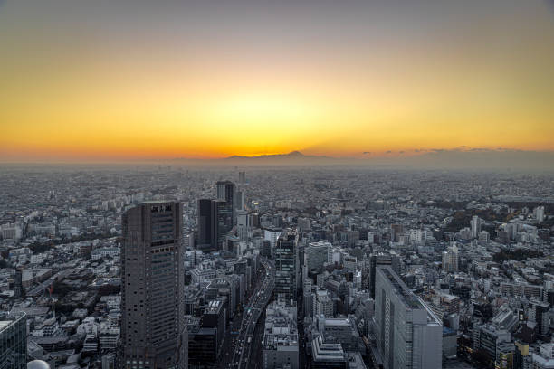 view of Tokyo city at sunset, fuji mountain in the background