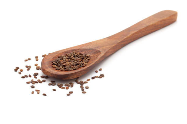 istock A wooden spoon filled with Organic Phlox (Phlox paniculata) seeds. 2151136213