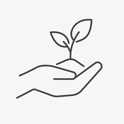 Flower Plant in hand line icon. Hand holding sprout tree with leaves outline illustration