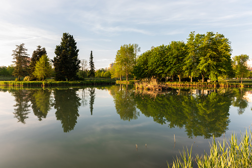Long exposure shot of small islands in the Boating Lake in Ajka in the morning in springtime.