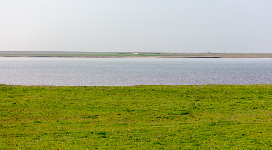 Lake in the steppe in spring as a background.