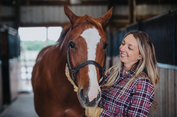 istock Cheerful woman spending time with her pet horse 2151139268