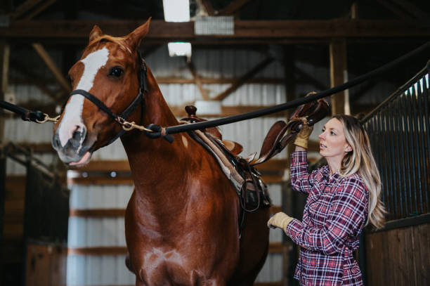istock Woman places a saddle on her horse 2151139308