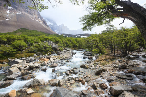 Valley of the coastal river Serrano. Torres del Paine National Park. Exotic trip to Chilean Patagonia.