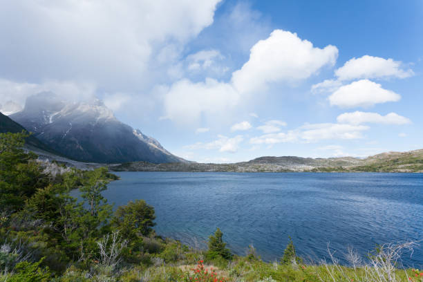 istock Lake Pehoe view, Torres del Paine, Chile 2151145101