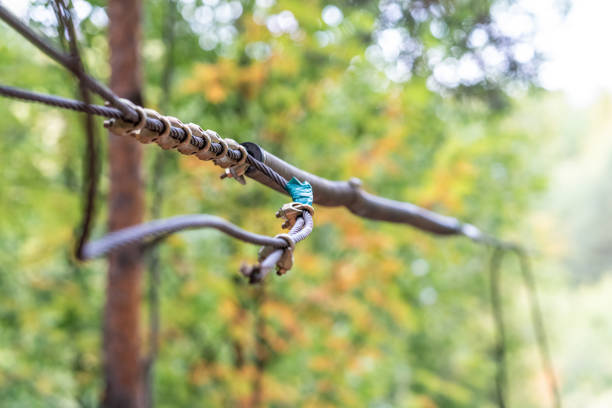 Clamping mechanisms securing a steel zip-line cable with lush foliage in background close-up shot