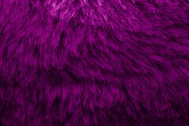 istock magenta velour plush cloth textured background 2151148846