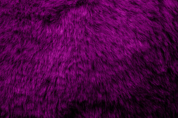 istock magenta velour plush cloth textured background 2151148900