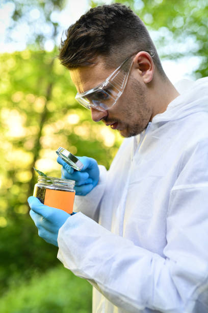 istock Male Scientist Studies Life Forms Gathered In An Open Container Through Magnifying Glass 2151149521