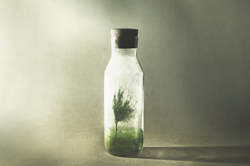 surreal tree in a meadow that lives inside a glass bottle, concept of environmental protection