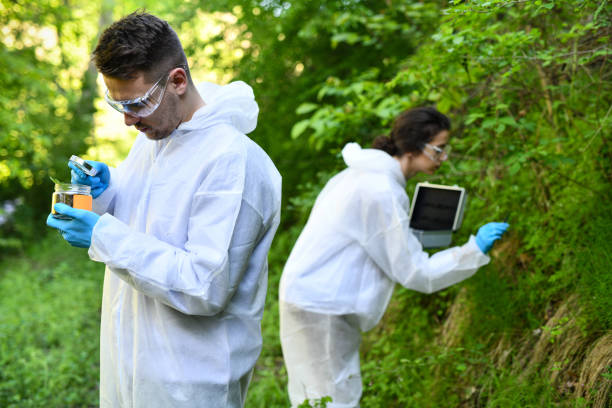 istock Male Scientist Examines Life Forms Gathered In Jar While Colleague Collects Additional Samples 2151150012