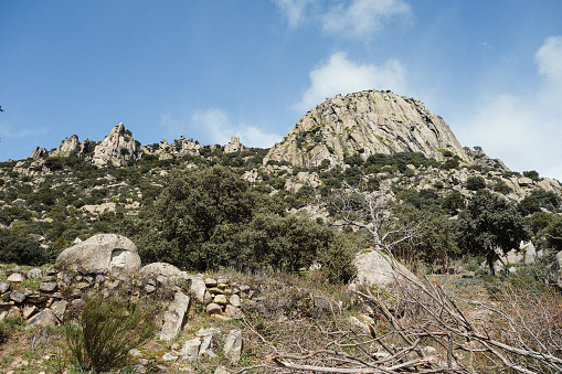 The Sierra de La Cabrera is a rocky outcrop of the Cuerda Larga —one of the most important massifs in the Guadarrama mountain range (Central System)—, which includes the largest granite massif in the eastern area of this mountain range. Located in the Community of Madrid, Spain, north of the municipality of the same name and east of Valdemanco, it is accessible from the A-1 highway (Madrid-Burgos), at kilometer 60.

It is one of the most important mountain-islands on the southern slope of the Guadarrama range, a designation referring to those mountain elevations that appear separated from the main alignment. Its main peaks are Cancho Gordo, at 1563 meters above sea level, and Pico de la Miel, at 1392 meters above sea level, with a length of approximately four kilometers.
