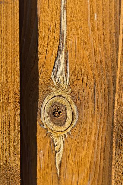 An interesting view of an old planed pine board with a pronounced knot cut, resin secretions forming an interesting ring pattern, wood structure, vintage background, close-up, daylight, natural background.
