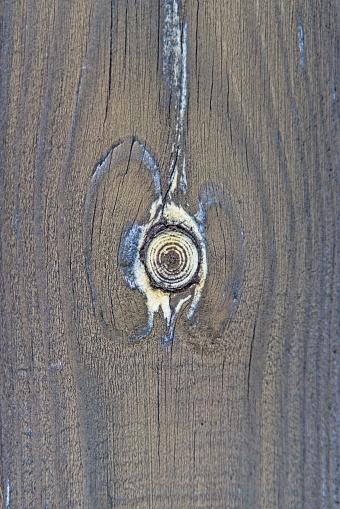 An interesting view of an old planed pine board with a pronounced knot cut, resin secretions forming an interesting ring pattern, wood structure, vintage background, close-up, daylight, natural background.