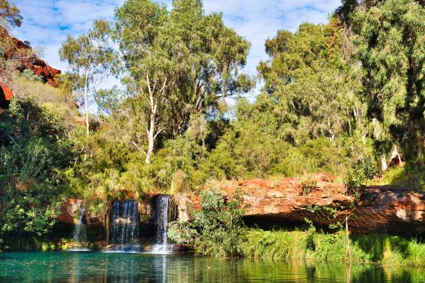 istock Waterfall splashes into a pool, surrounded by lush vegetation 2151153665