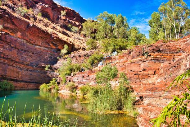 istock Green pool, flanked by red, iron-rich rocks 2151153724