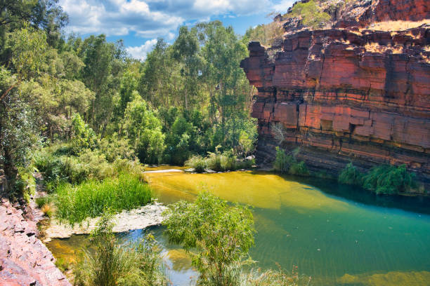istock Green pool, flanked by red, iron-rich rocks and green eucalyptus trees, Karijini, Australia 2151153733