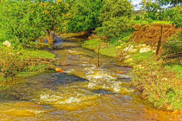 Strong flowing stream following heavy rain in the Matjes River Valley near Oudtshoorn, Western Cape, South Africa