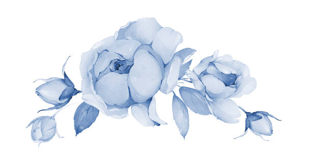 Watercolor illustration with a delicate bouquet of roses for wedding cards and invitations in indigo tones