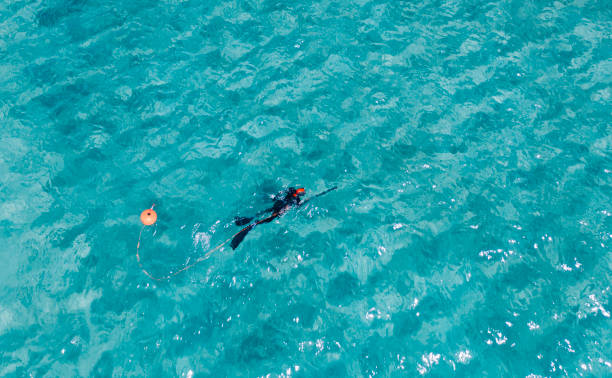 istock Man spearfishing in shallow water 2151159295
