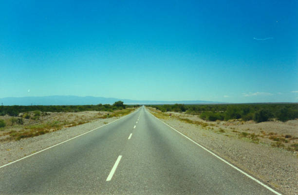 Straight road to the distant horizon