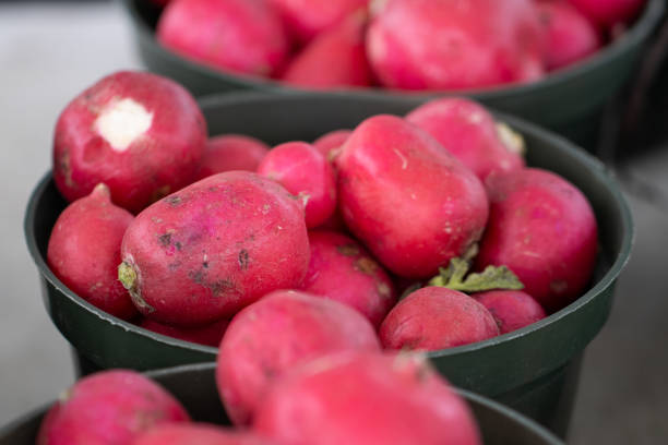 Baskets of Radishes for sale