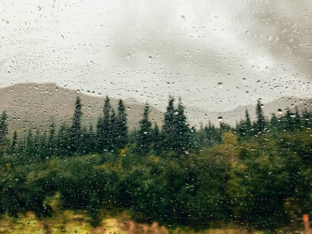 Raindrops with nature background.