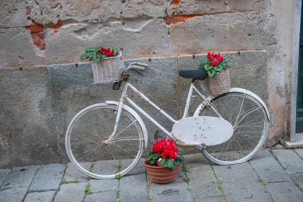 istock Vase of flowers placed on the bicycle 2151173170