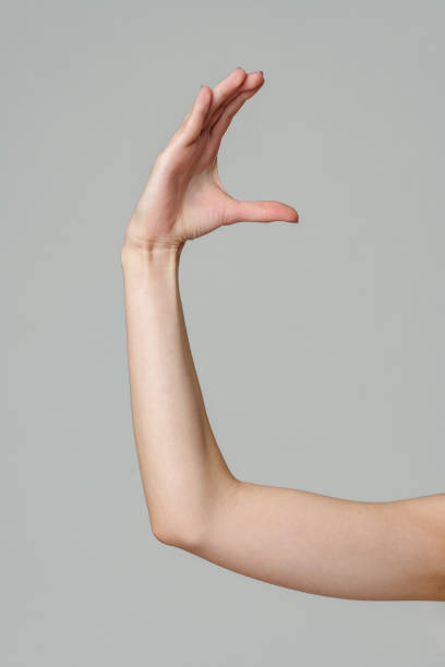 istock Female hand sign against gray background in studio 2151175131