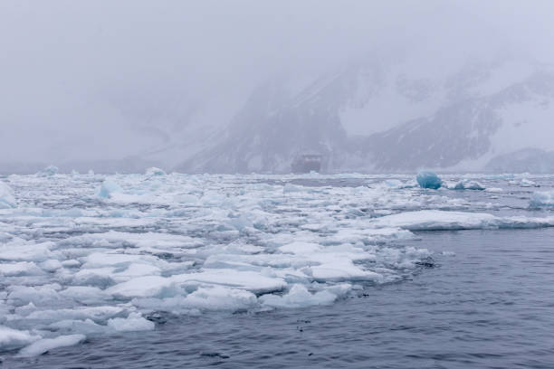 Hope bay is a 5 to 3 km wide bay open to Antarctic Sound