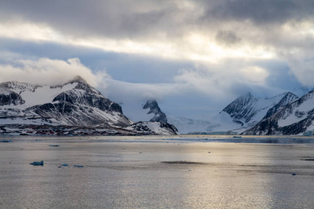 istock Hope Bay, Antarctica, Part 2 2151178617