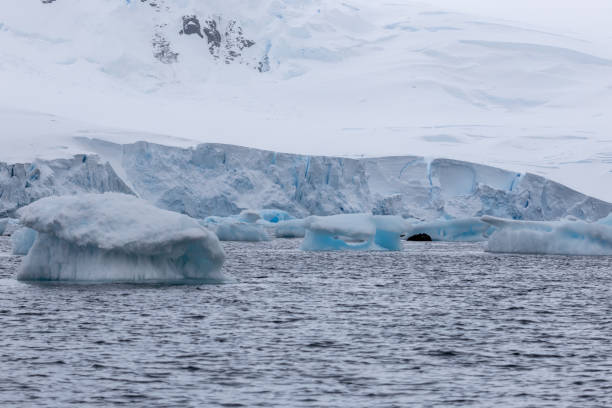 istock Mikkelson Harbor, Antarctica, Part 1 2151180025