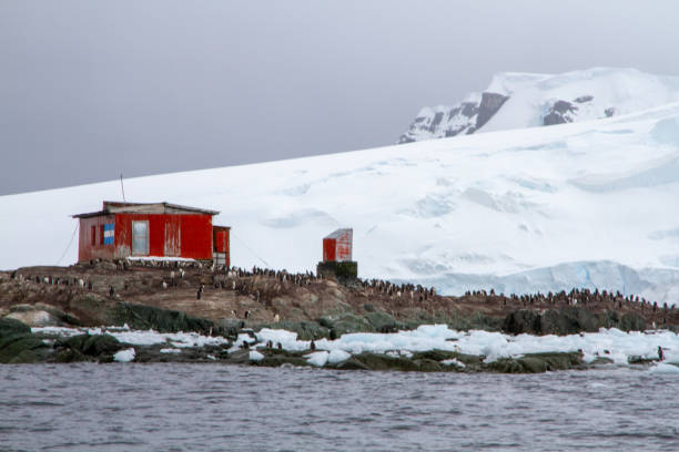Mikkelson Harbor on D`Hainaut Island is home of thousands of Gentoo penguins