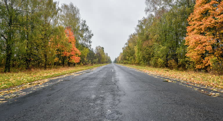 Video of Empty asphalt road through the autumn woods. Autumn scene with road in forest. Beautiful scenic empty road in the fall and woods. Asphalt road among the autumn forest and moody cloudy sky.