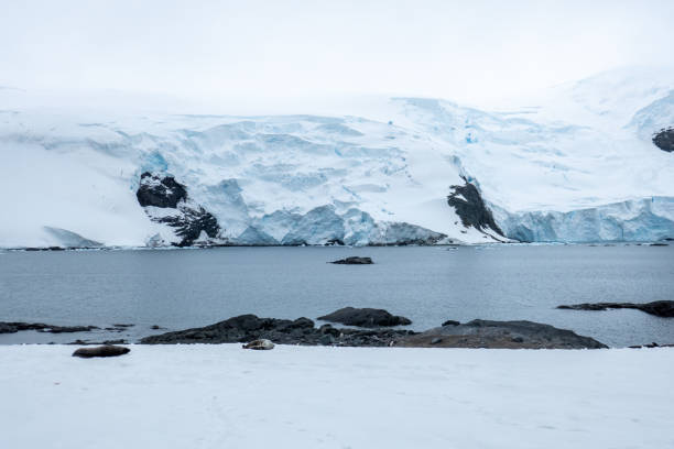 istock Mikkelson Harbor, Antarctica, Part 3 2151181841