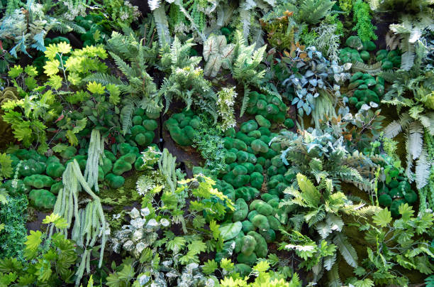 A lush green plant with many different types of plants growing on it. The plants are all green and some are small and some are large