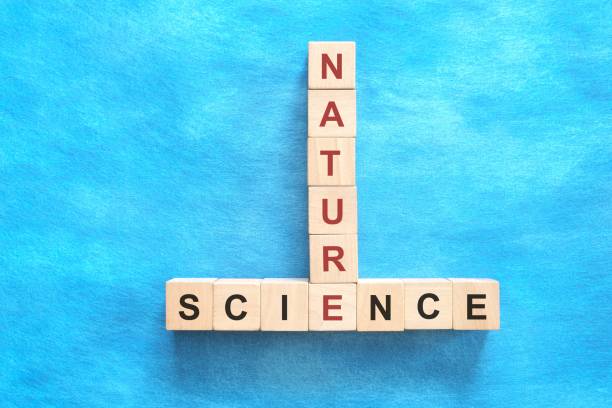 istock Nature and Science relationship and interconnection concept. Flat lay in blue background. 2151192000