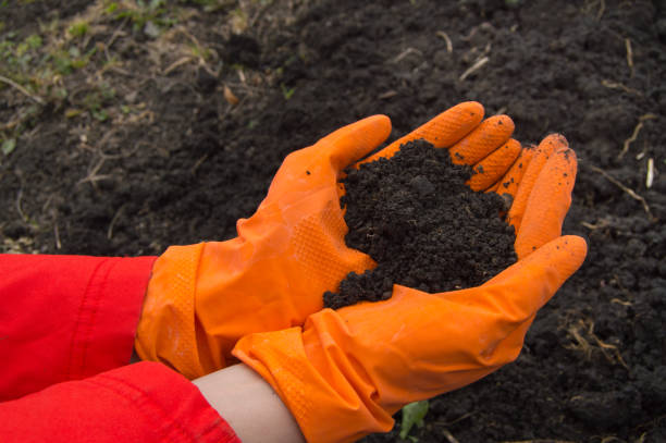 hands, who wears orange rubber gloves with the soil background.