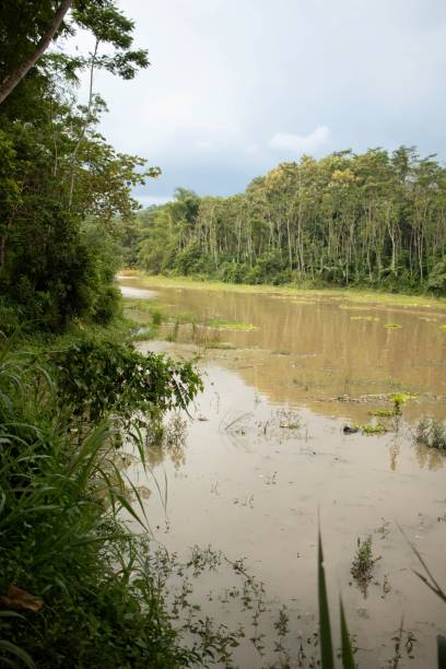 istock Dirty river in the countryside seen from the side 2151193674