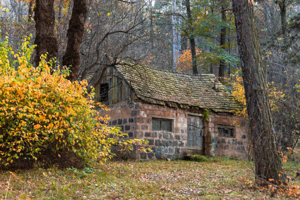 Old stone hut in the forest during the day