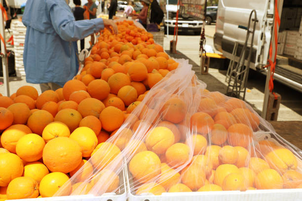 Farmers markets provide great opportunity for small farmers to market their products and for consumers to buy fresh, organic products. Netting protects organic vegetables and fruits from pests .