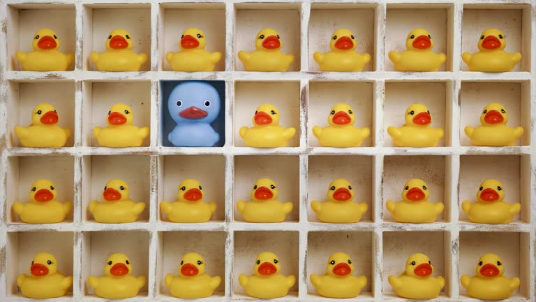 Stop-motion animation of many yellow rubber ducks in white weathered wooden pigeon holes with one large blue alien duck amongst the crowd of yellow ducks.