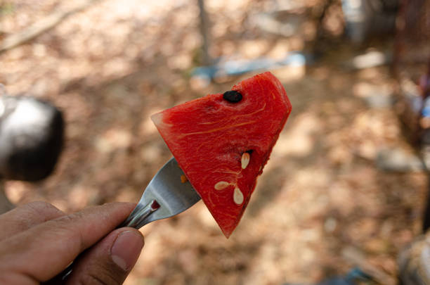 piece of water melon