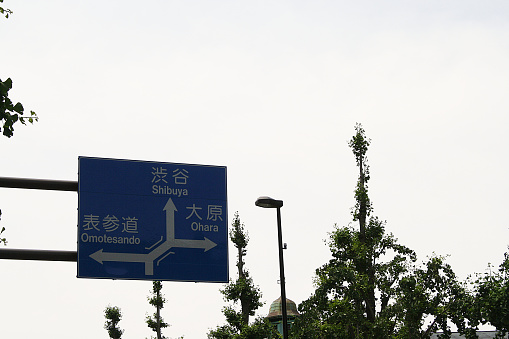 A picture of a blue street sign showing the direction to Omotesando, Shibuya and Ohara in Tokyo, Japan