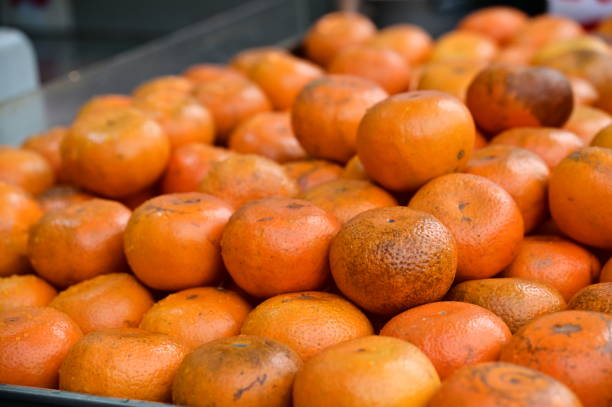 istock Citrus Delight: A Close-up of Mandarin Oranges on a Fruit Stand 2151205044