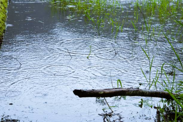view of raindrops on the river on a rainy summer day