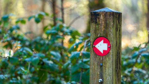 istock Red arrows way marker sign on a trail 2151210841